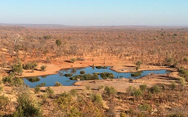 Waterhole for animals near Victoria Falls Safari Lodge in Zimbabwe